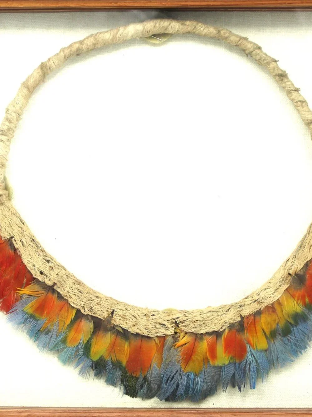 Feather Head-Ring or Ceremonial Ornament made of cane by an Indigenous Amazonian